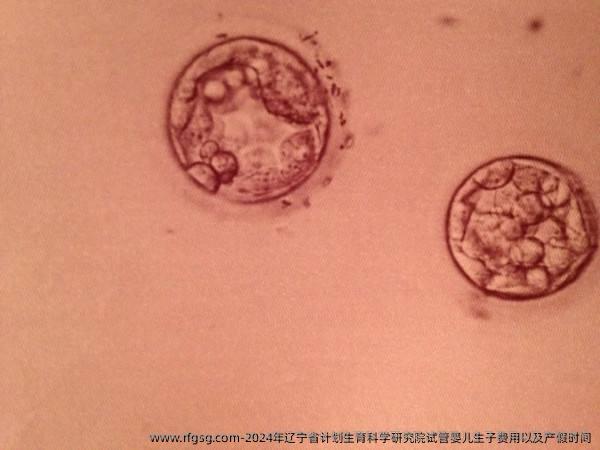 2024年辽宁省计划生育科学研究院试管婴儿生子费用以及产假时间