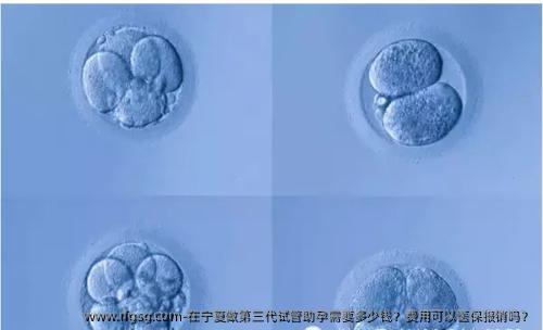 在宁夏做第三代试管助孕需要多少钱？费用可以医保报销吗？