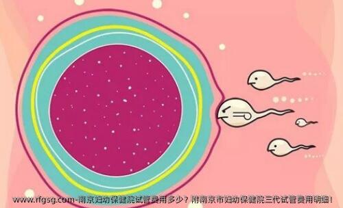 南京妇幼保健院试管费用多少？附南京市妇幼保健院三代试管费用明细！