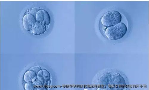 移植怀孕的症状表现有哪些？每位女性的体验有所不同