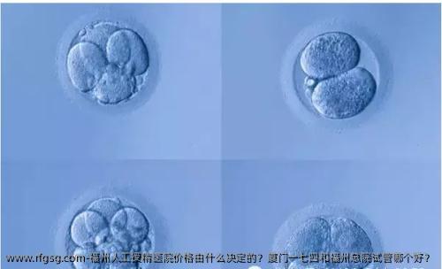 福州人工授精医院价格由什么决定的？厦门一七四和福州总院试管哪个好？