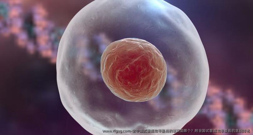 国内内试管成功率最高的医院是哪个？附国内试管成功率最高的医院排名