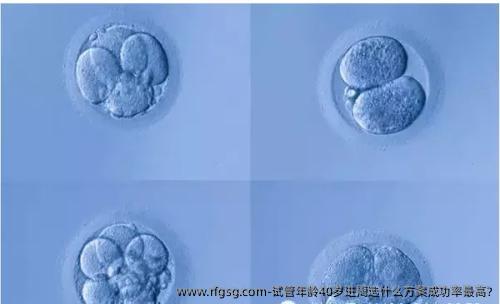 试管年龄40岁进周选什么方案成功率最高?