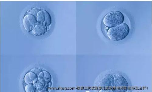 福建三代试管婴儿医院费用预算 医院怎么样？