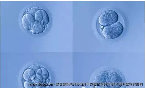 吃黄体酮来月经当月可以做试管吗?月经不调对试管有影响