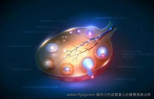 国内三代试管婴儿分娩费用表公布