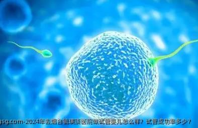 2024年去烟台毓璜顶医院做试管婴儿怎么样？试管成功率多少？