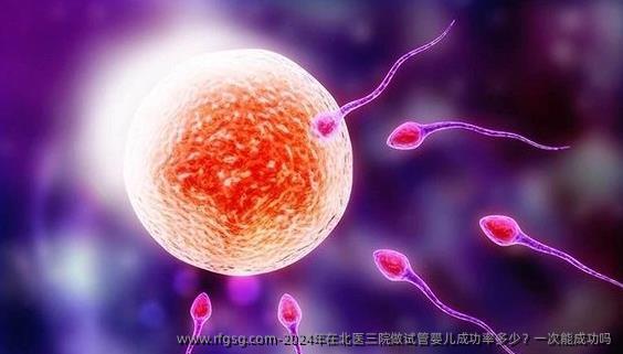 2024年在北医三院做试管婴儿成功率多少？一次能成功吗