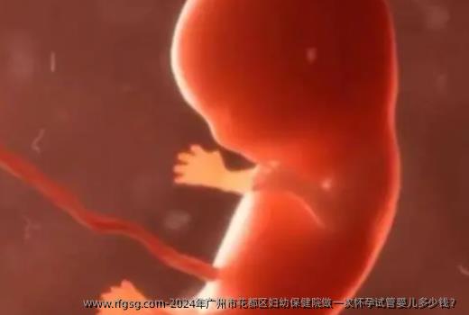 2024年广州市花都区妇幼保健院做一次怀孕试管婴儿多少钱？