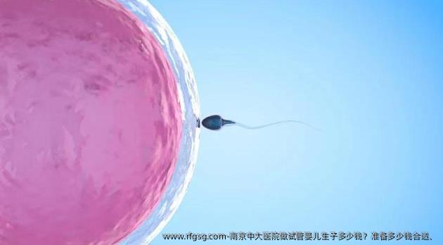 南京中大医院做试管婴儿生子多少钱？准备多少钱合适、