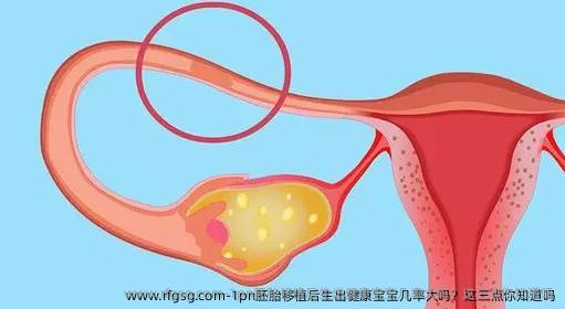 1pn胚胎移植后生出健康宝宝几率大吗？这三点你知道吗