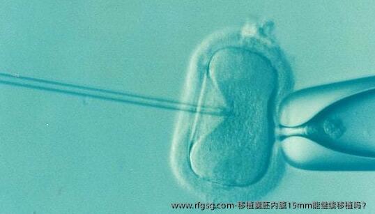 移植囊胚内膜15mm能继续移植吗？