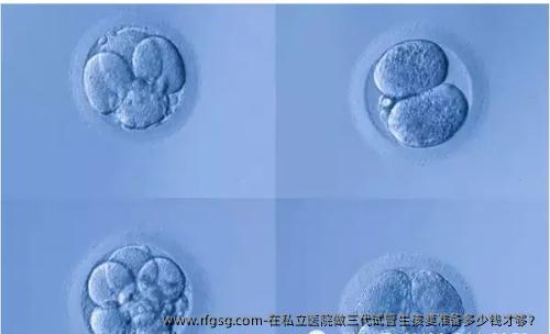 在私立医院做三代试管生孩要准备多少钱才够？