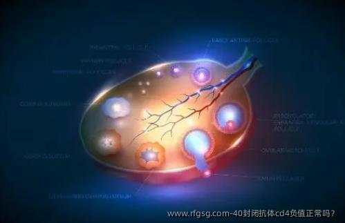 40封闭抗体cd4负值正常吗？