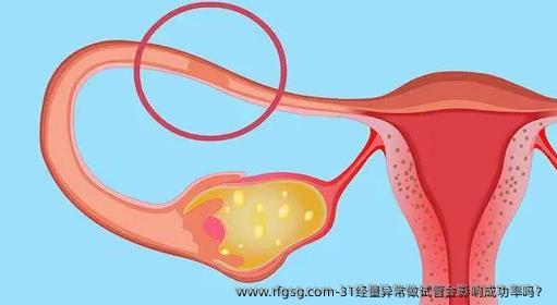 31经量异常做试管会影响成功率吗？