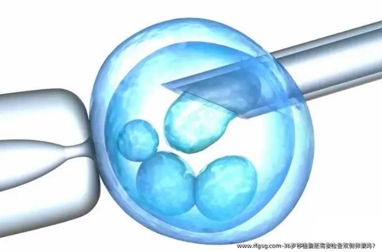 36岁移植囊胚需要检查双侧卵巢吗？