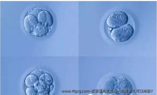 试管婴儿失败后一般隔多久可以再做？