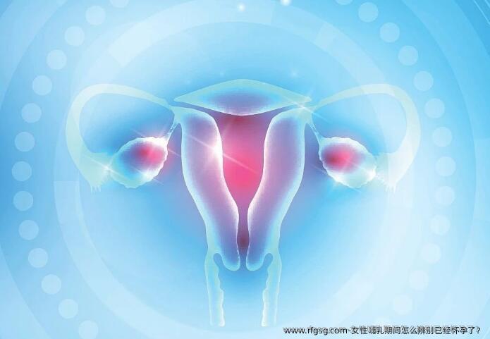 女性哺乳期间怎么辨别已经怀孕了？