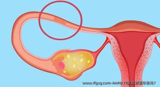 Amh0.19就是卵巢早衰吗？