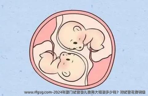 2024年厦门试管婴儿费用大概要多少钱？附试管花费明细