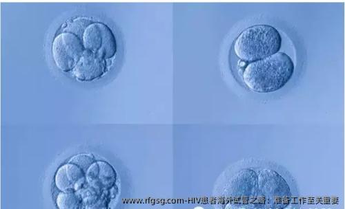 HIV患者海外试管之路：准备工作至关重要