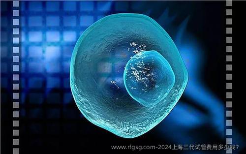 2024上海三代试管费用多少钱？