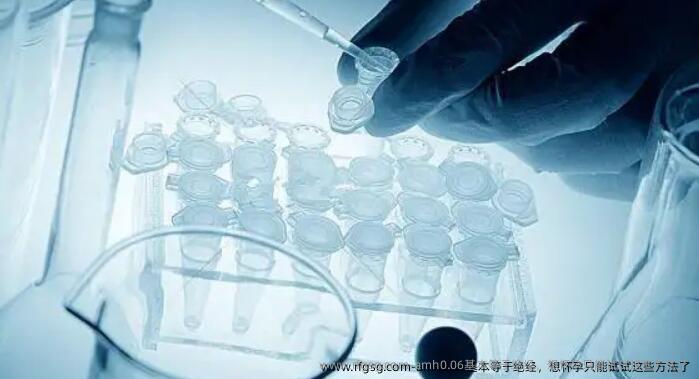 amh0.06基本等于绝经，想怀孕只能试试这些方法了