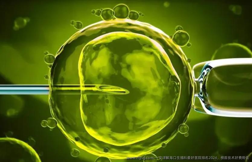 一文详解海口生殖科最好医院排名2024,榜首技术好费用低