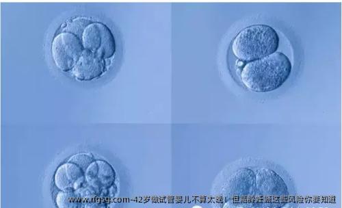 42岁做试管婴儿不算太晚！但高龄妊娠这些风险你要知道