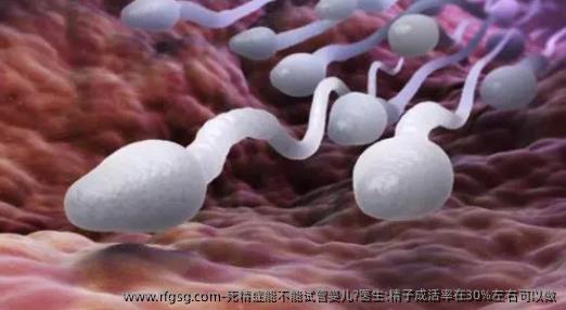 死精症能不能试管婴儿?医生:精子成活率在30%左右可以做