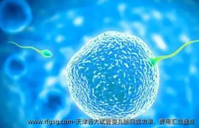 天津各大试管婴儿医院成功率、费用汇总盘点