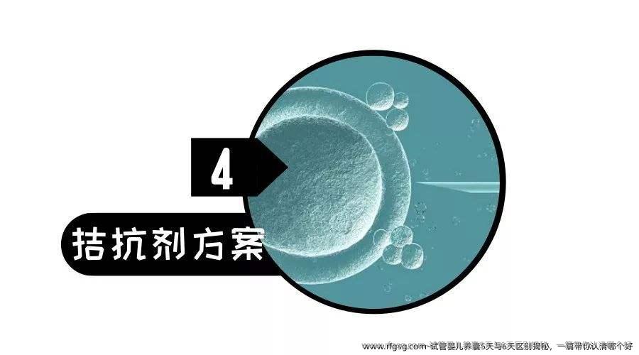 试管婴儿养囊5天与6天区别揭秘，一篇带你认清哪个好