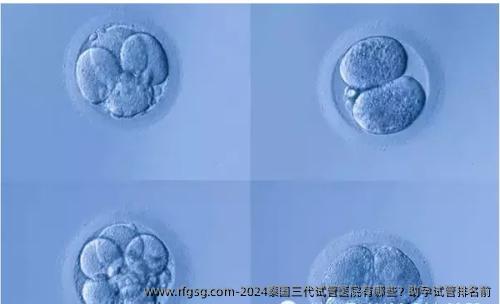 2024泰国三代试管医院有哪些？助孕试管排名前