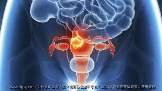 为什么这么多人去马来西亚做试管婴儿？2024年马来西亚试管婴儿费用策略！