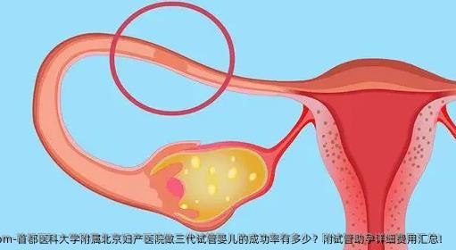 首都医科大学附属北京妇产医院做三代试管婴儿的成功率有多少？附试管助孕详细费用汇总！