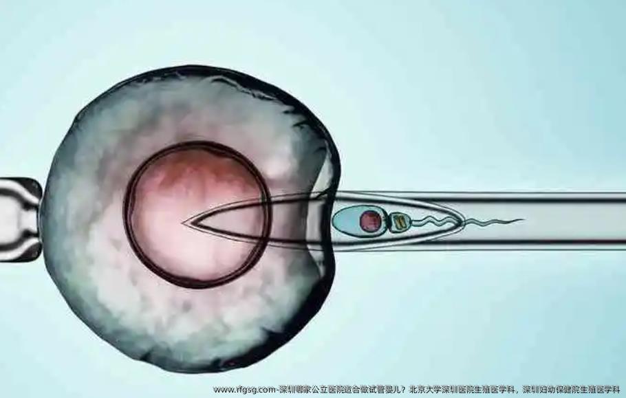 深圳哪家公立医院适合做试管婴儿？北京大学深圳医院生殖医学科，深圳妇幼保健院生殖医学科