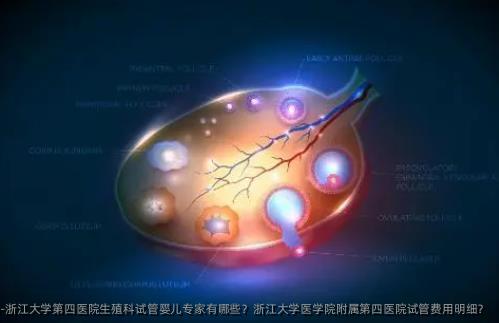 浙江大学第四医院生殖科试管婴儿专家有哪些？浙江大学医学院附属第四医院试管费用明细？