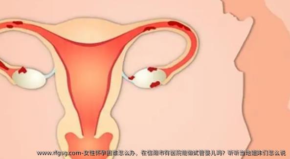 女性怀孕困难怎么办，在信阳市有医院能做试管婴儿吗？听听当地姐妹们怎么说