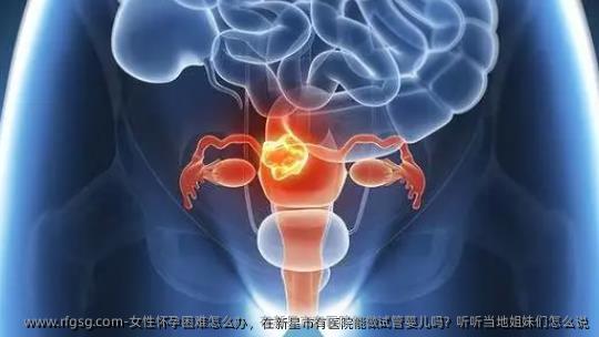 女性怀孕困难怎么办，在新星市有医院能做试管婴儿吗？听听当地姐妹们怎么说