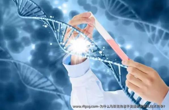 为什么马斯克热衷于美国试管婴儿技术怀孕？