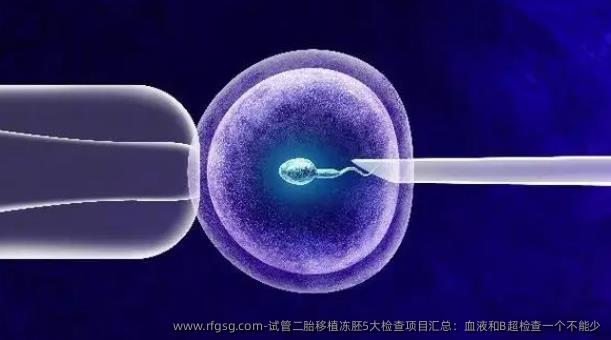 试管二胎移植冻胚5大检查项目汇总：血液和B超检查一个不能少