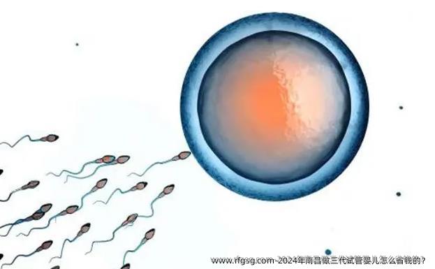 2024年南昌做三代试管婴儿怎么省钱的？