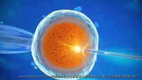 2024昆明明年第三代试管婴儿费用是多少？附三代试管婴儿收费公布！