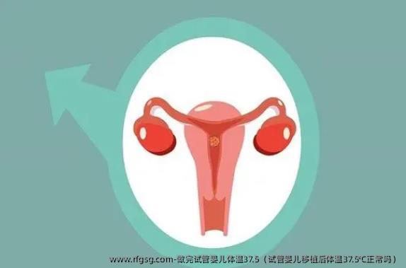 做完试管婴儿体温37.5（试管婴儿移植后体温37.5℃正常吗）