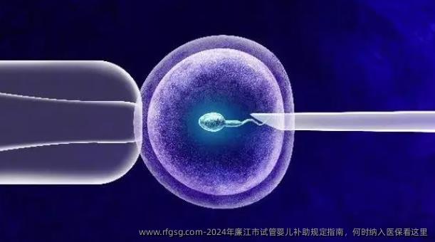 2024年廉江市试管婴儿补助规定指南，何时纳入医保看这里