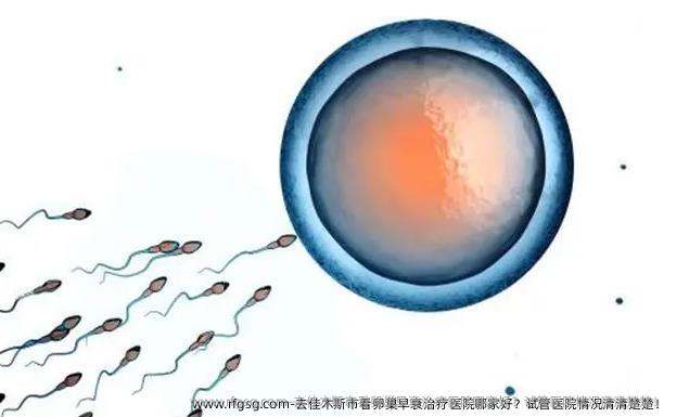 去佳木斯市看卵巢早衰治疗医院哪家好？试管医院情况清清楚楚！