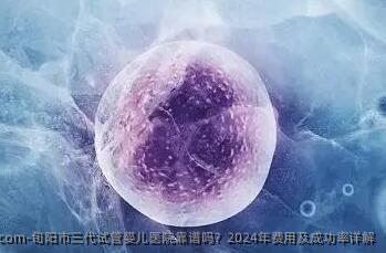 旬阳市三代试管婴儿医院靠谱吗？2024年费用及成功率详解