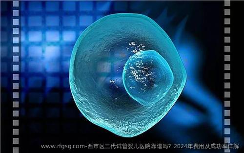 西市区三代试管婴儿医院靠谱吗？2024年费用及成功率详解