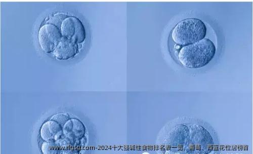 2024十大强碱性食物排名表一览，葡萄、西蓝花位居优品