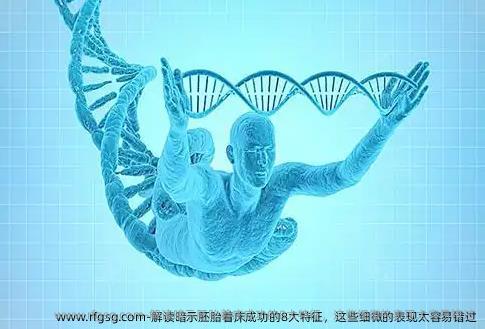 解读暗示胚胎着床成功的8大特征，这些细微的表现太容易错过